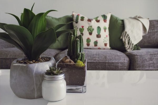 Kleurenpsychologie: Welke Kleuren Passen bij Jouw Interieur?